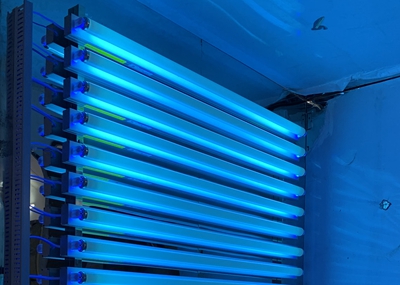 如何通過UV紫外光照實驗箱構建動物皮膚光老化模型？