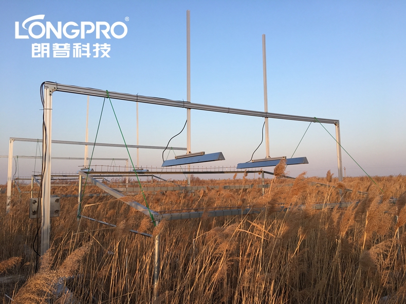 中科院黃河三角洲蘆葦?shù)卦鰷啬M實(shí)驗(yàn).jpg 中科院黃河三角洲蘆葦?shù)卦鰷啬M實(shí)驗(yàn).jpg