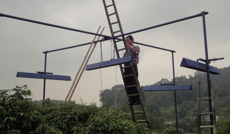 桂味荔枝增溫模擬實驗.jpg 桂味荔枝增溫模擬實驗.jpg