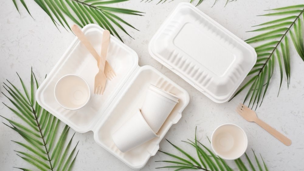 biodegradable food containers
